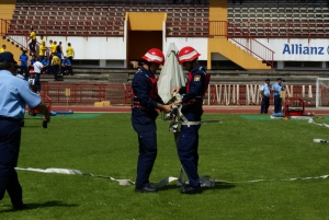 31mmk_36